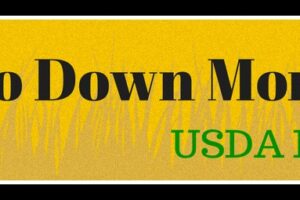 Zero Down Mortgage – USDA Home Loans