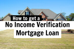 no income verification mortgage loan
